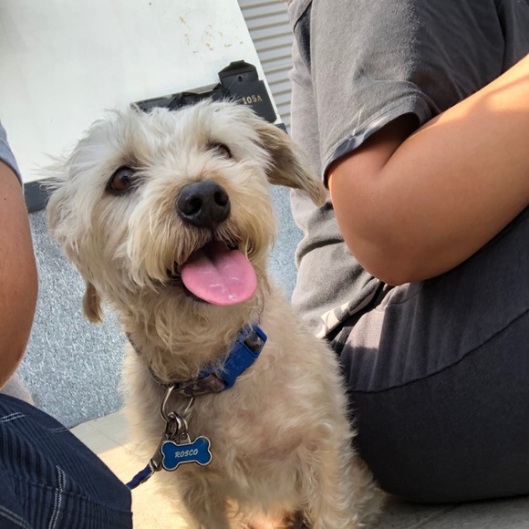 Meet your Posher, Jessica - Picture 1 of 1